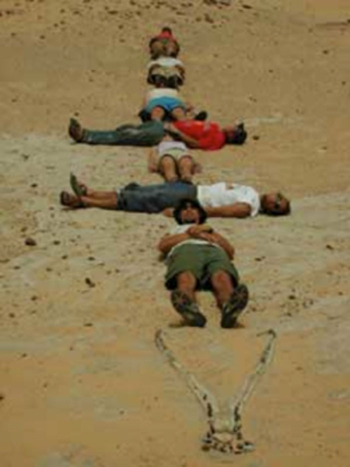 Illustration for article titled Paleontologists lying near giant dinosaur bones